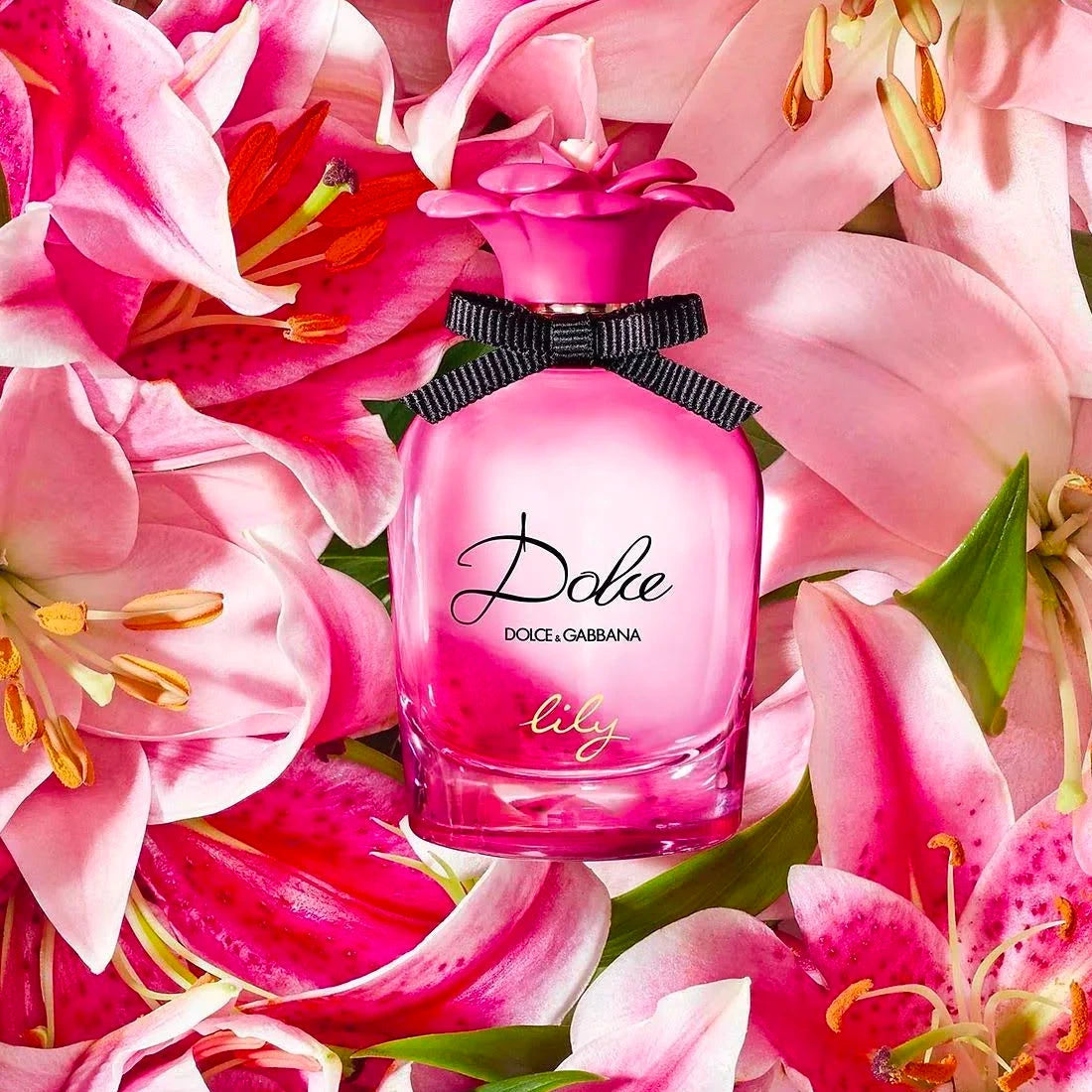 DOLCE & GABBANA
Dolce Lily 2.5 oz EDT for women