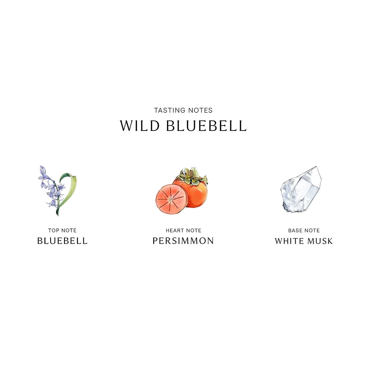 JO MALONE
Wild Bluebell 3.4 oz Cologne